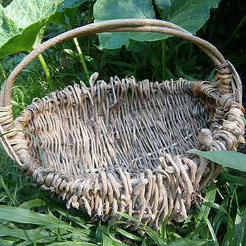 Cat's claw melon basket